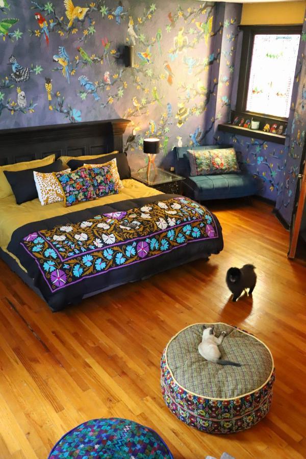 La Casa De Fleur De Lis In Historic San Angel Holiday home *