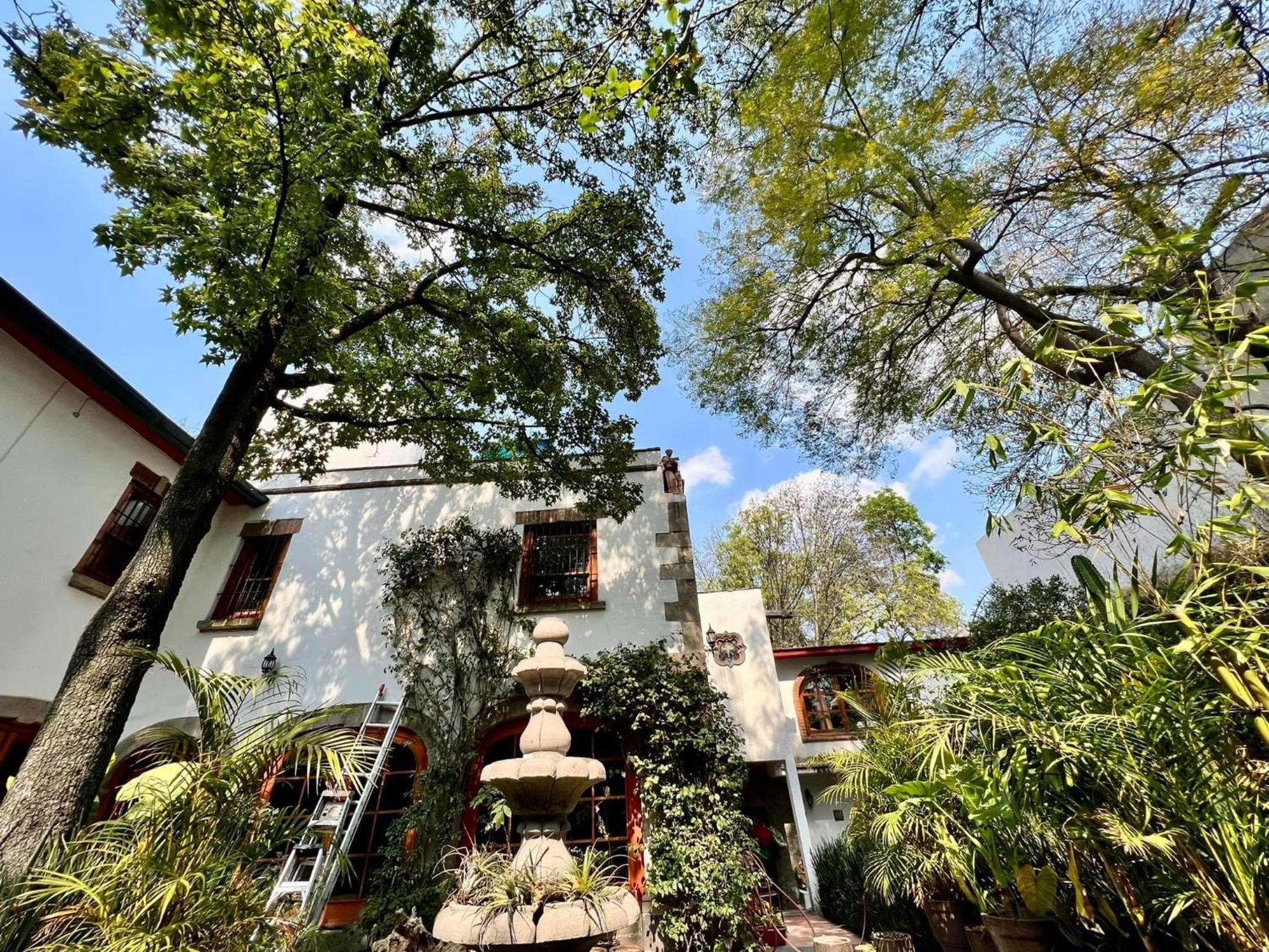 La Casa De Fleur De Lis In Historic San Angel Holiday home